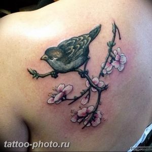 рисунка тату воробей 03.12.2018 №019 - photo tattoo sparrow - tattoo-photo.ru